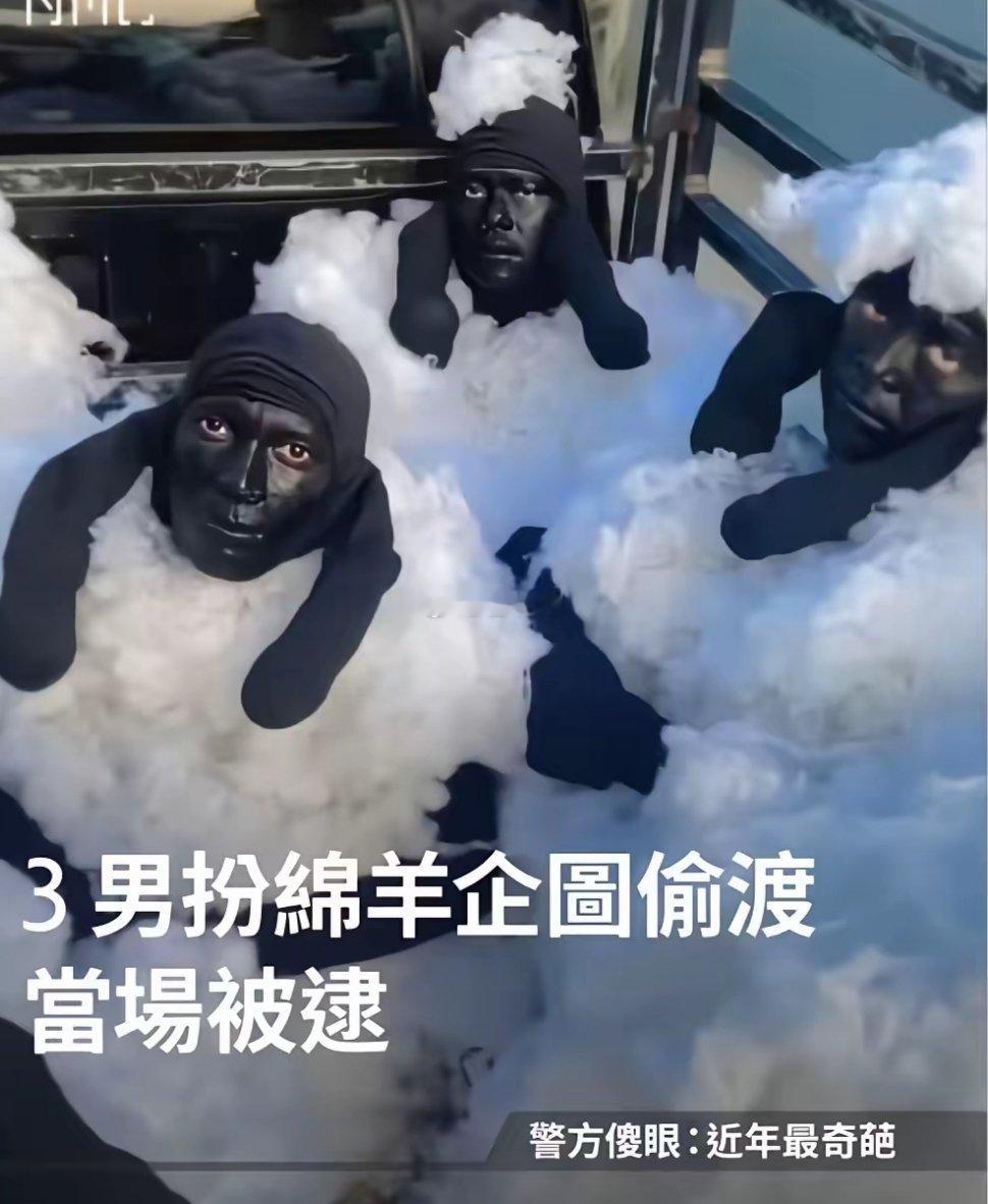 近年最奇葩案子，他们对视的时候真的不会笑场吗
