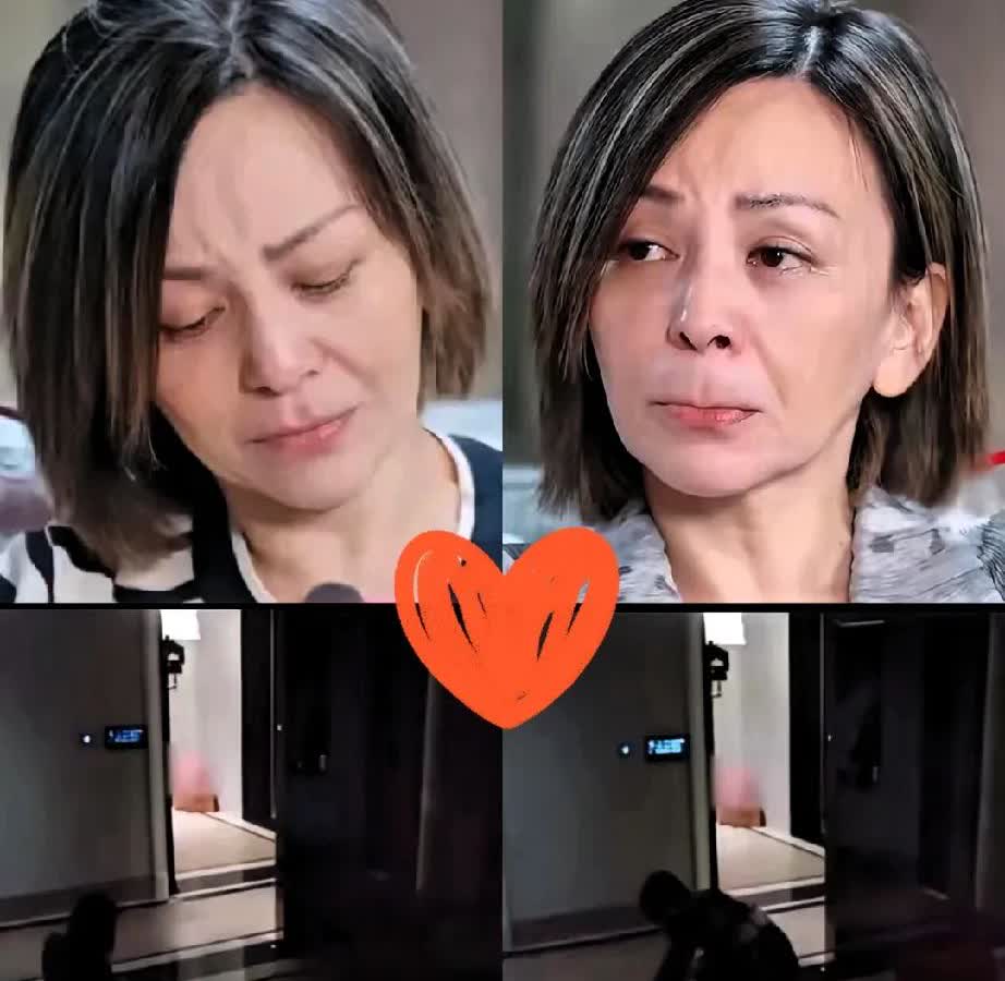 要我是王琳，立马搬出500平的大别墅，女明星王琳上海500平带院别墅+