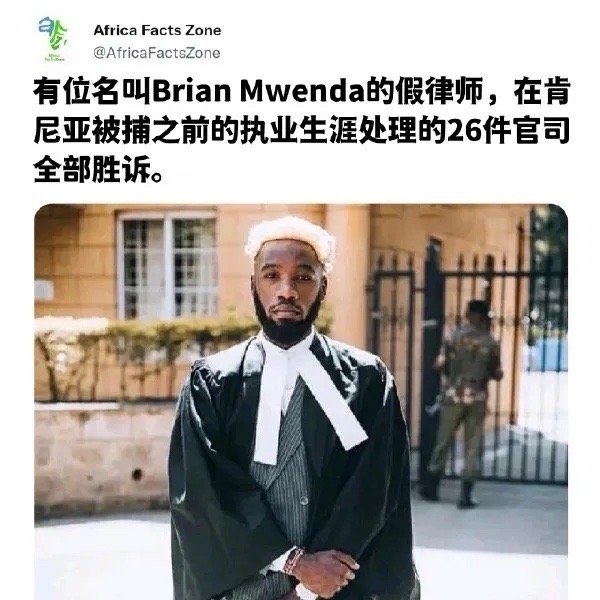 假律师却有真本事