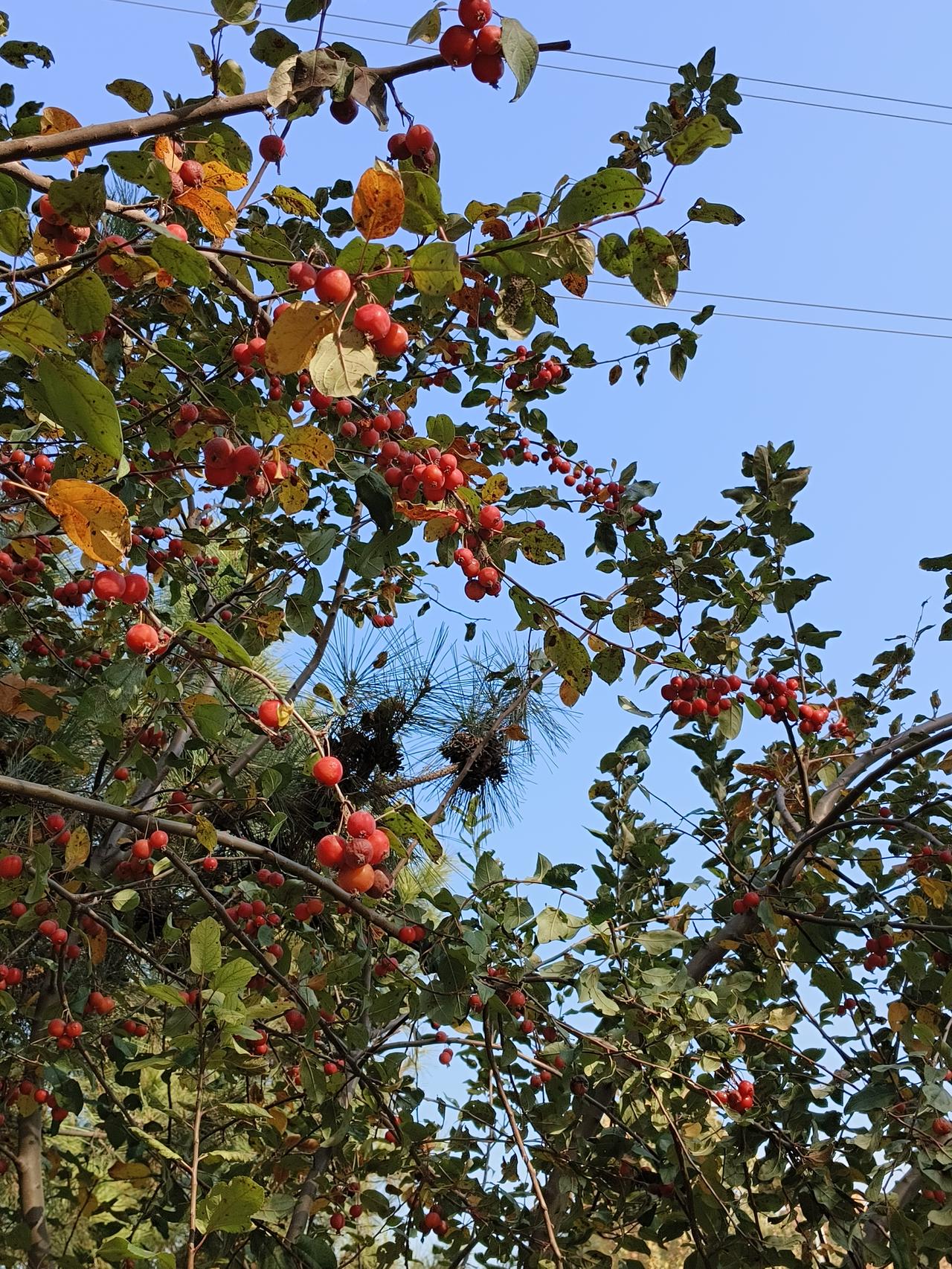 我路过冬天，路过风，路过时光暂时的家。也许你不会觉得这房子有什么特别。像春