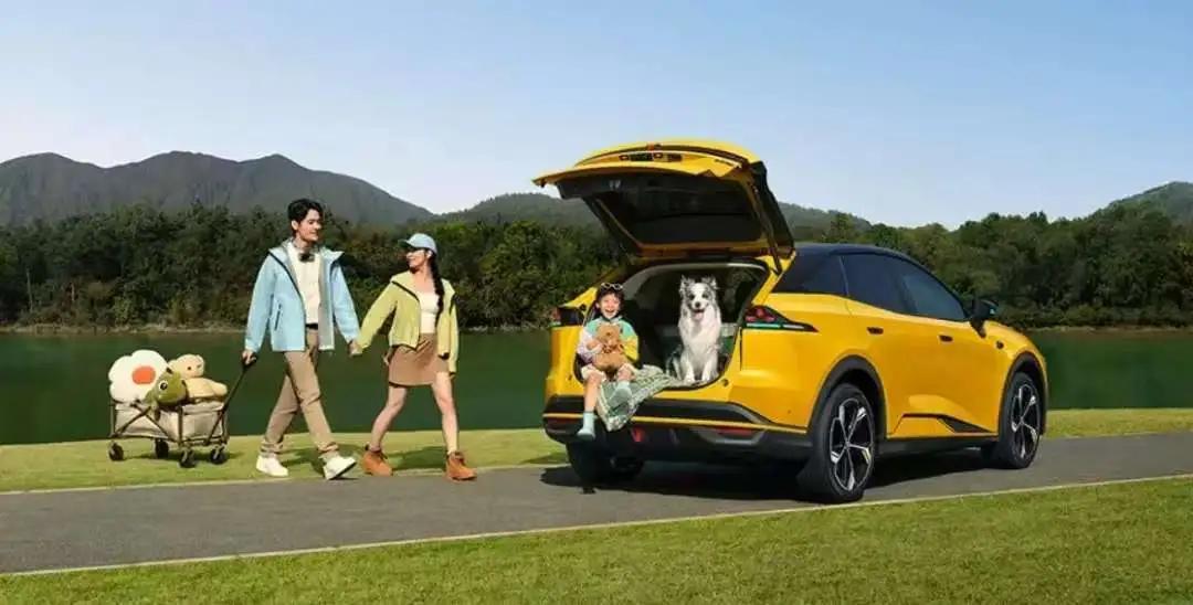 中国六大电池生产商1：宁德时代一中国，36、8%2：比亚迪一中国，15、8%