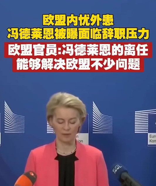 欧盟冯德莱恩可能要下台了天啊噜，冯德莱恩可能要被赶下台啦