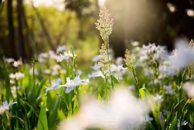 人这一辈子，得什么病、受什么苦、活多少岁，全都是命中注定的老天爷手里那本账，算