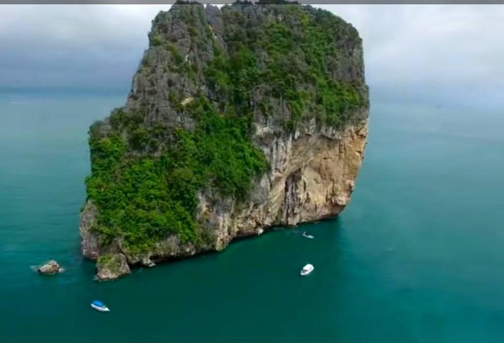 张召忠将军在节目上，当着所有人的面，直接给特朗普下了个结论。他说，这人要是干满