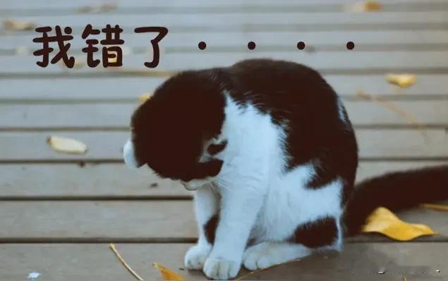 人生第一次被警察传唤的经历。今天被派出所警察传唤到所里了。起因就是因为我的车