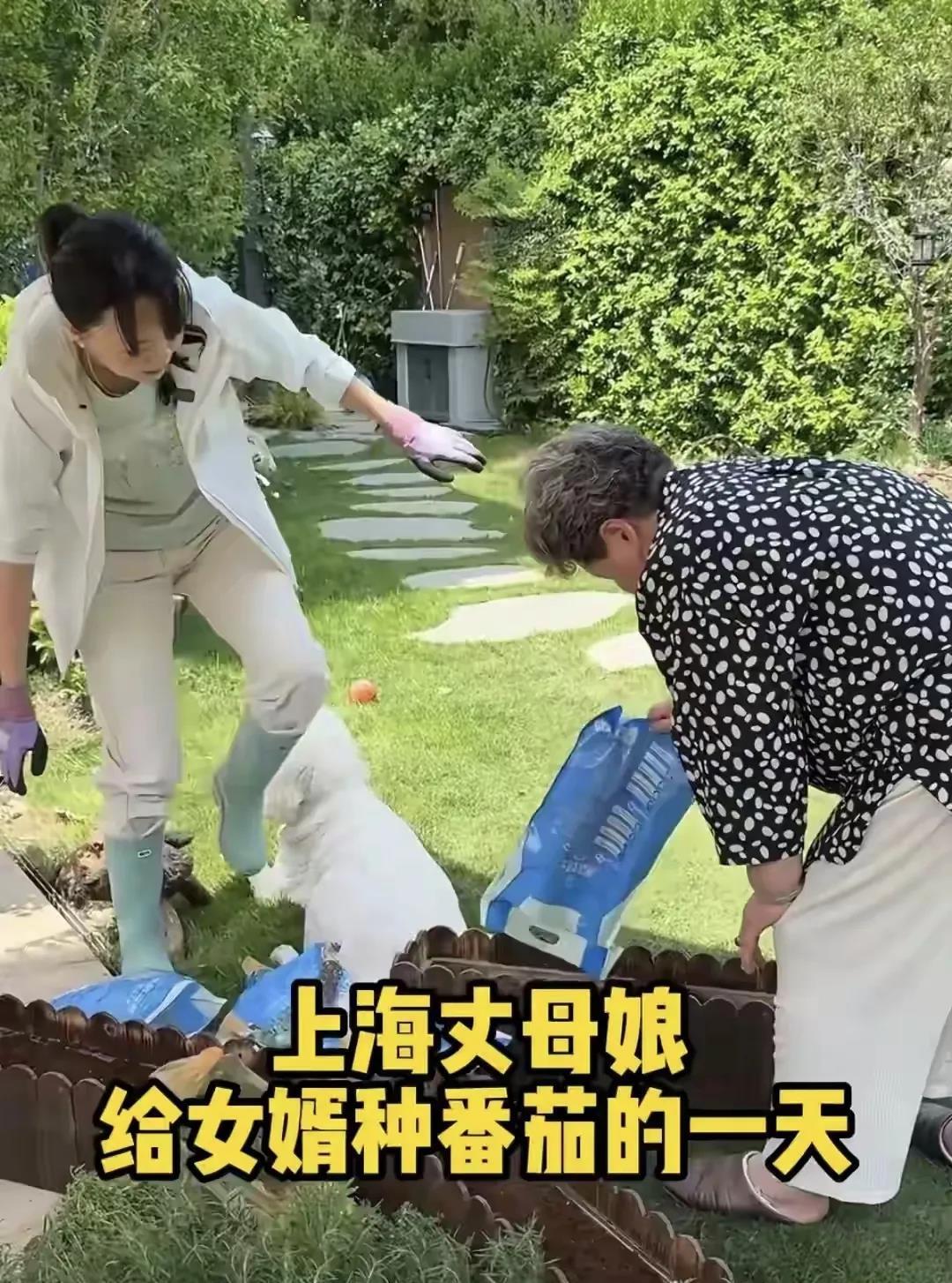 王一楠在上海住的是别墅，平常时还能跟父母以及女儿在草坪上种菜种花。因为王一楠分享