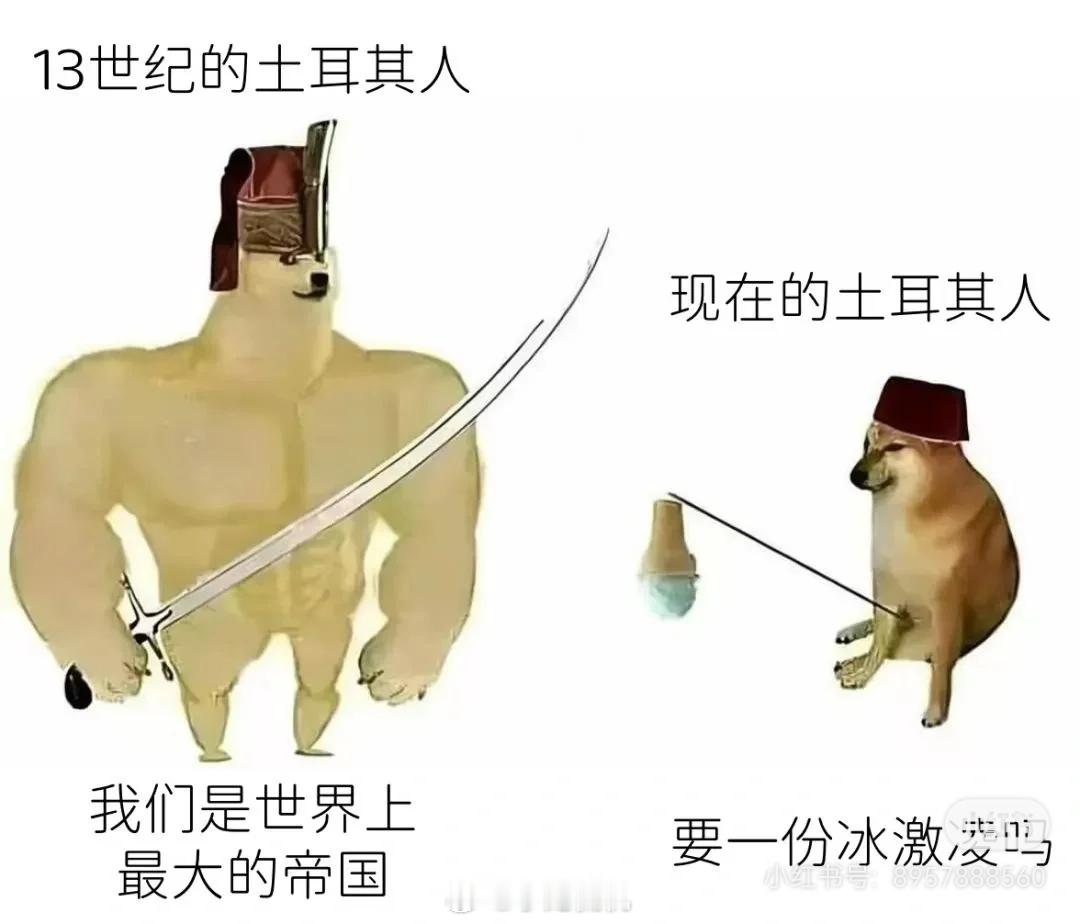 哈哈哈哈，真实太真实了