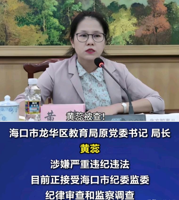 海口市龙华区教育系统爆了个大瓜，教育局原一把手黄蕊落马！说起这个黄蕊，在龙华