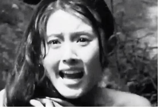 1942年的冀中平原，麦浪翻滚的时节却难掩战争的阴霾。在衡水市武邑县的一个小村