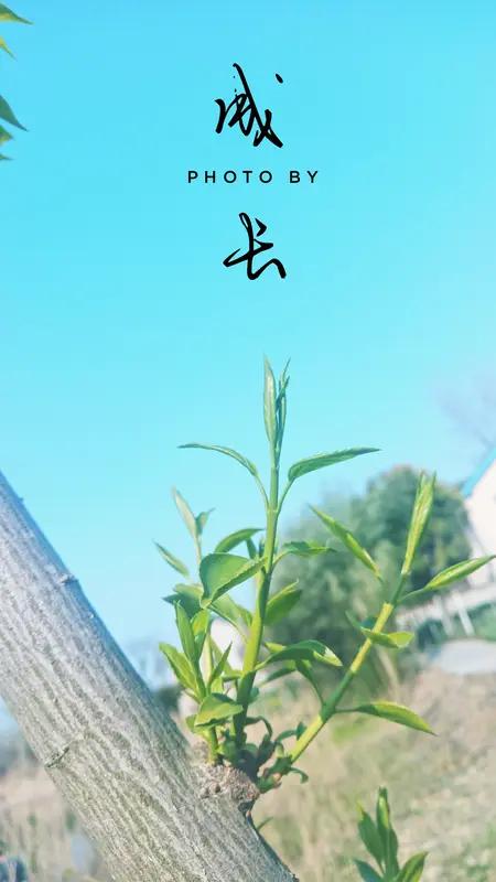 人生关键四阶段，摸清了少走大半弯路！每个人都该知道的成长秘密人生就像一场长跑，