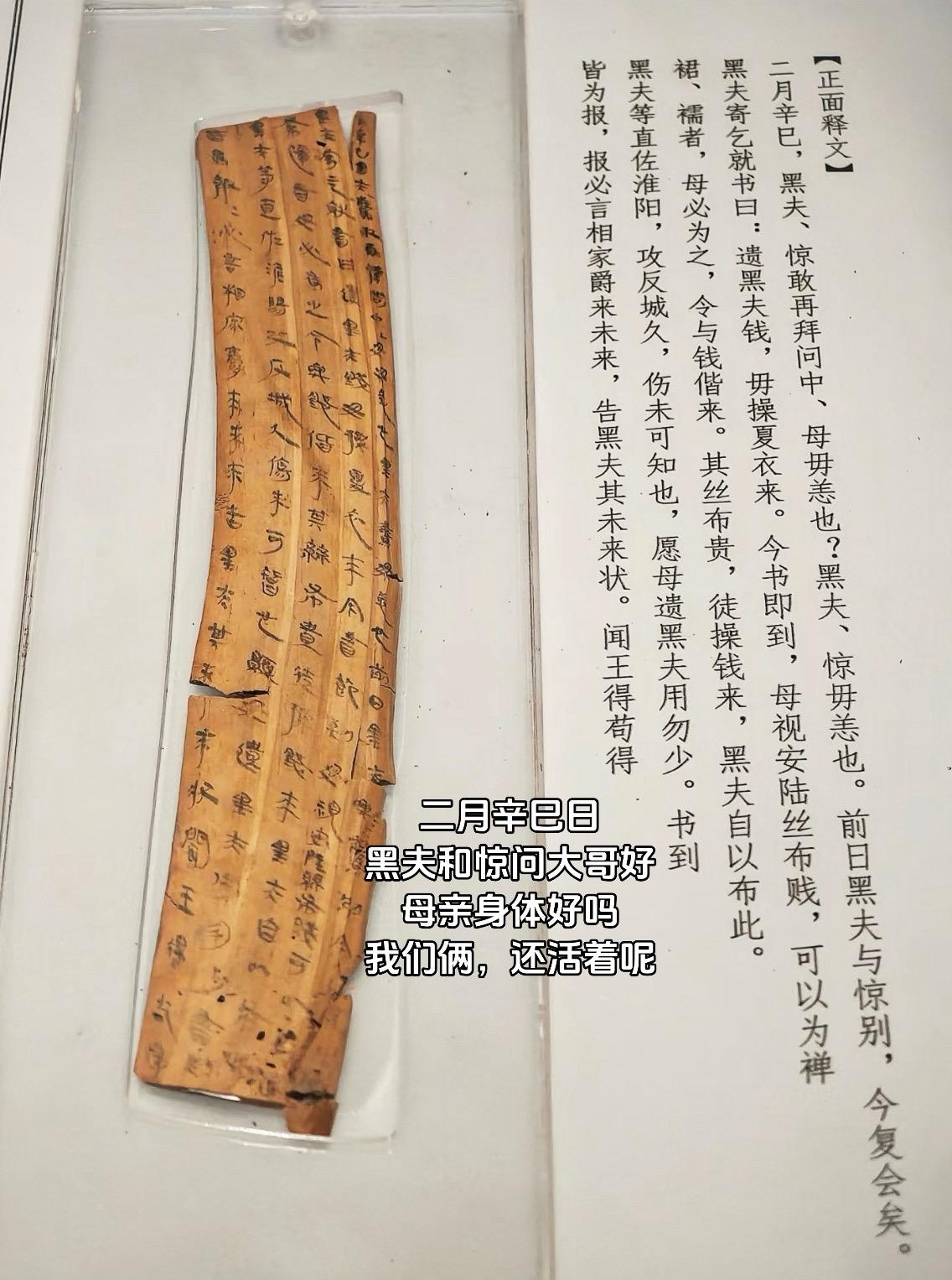 公元前223年，秦王政派大将王翦率60万大军攻打楚国。 黑夫和惊为了谋...