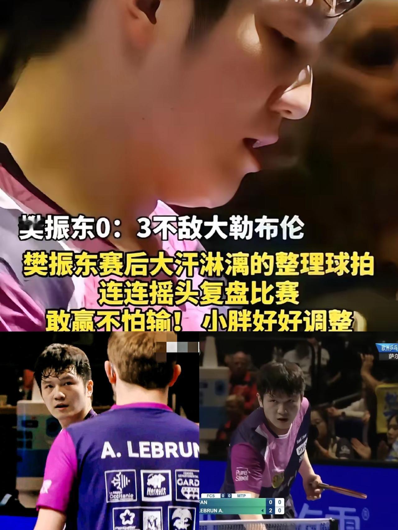 果然还是男人最懂体育！问老公樊振东这么厉害，咋会被大小布接连零封，他一句话点醒我