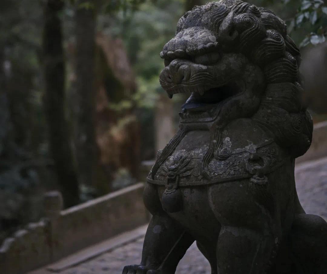 【琅河财经】中国公务员晋升成功率呈现明显的层级差异和平台依赖性。比如：1.科员