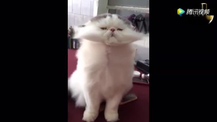 4883876467105338111.jpg?id=0