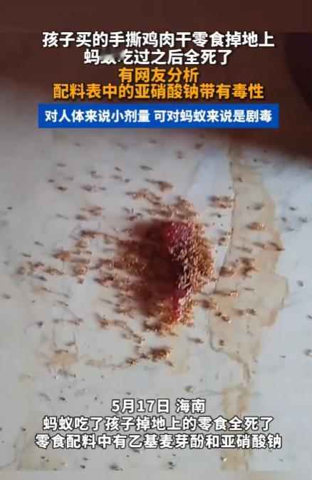 太吓人了！海南，一个孩子吃的手撕肉干掉地上，十几只蚂蚁爬上去啃了没两分钟，居然集