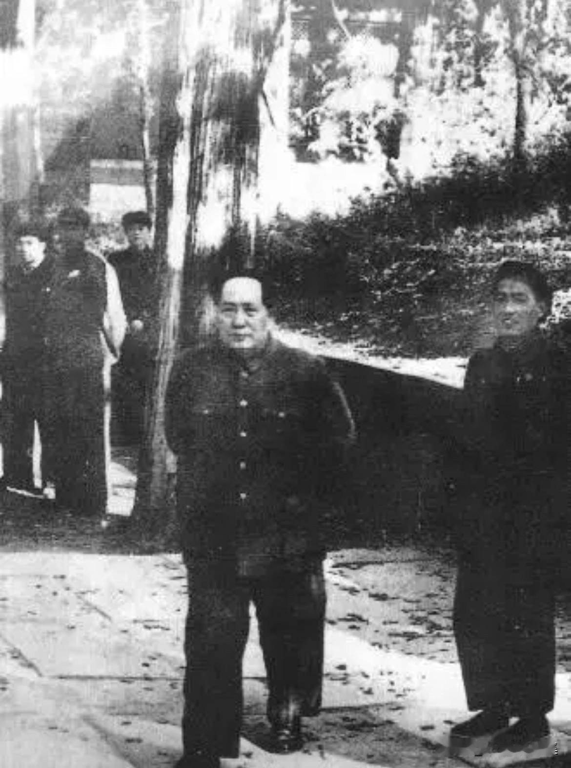 1952年10月28日上午，毛泽东在孔林参观的老照片。右为中央曲阜县委书记孔子玉