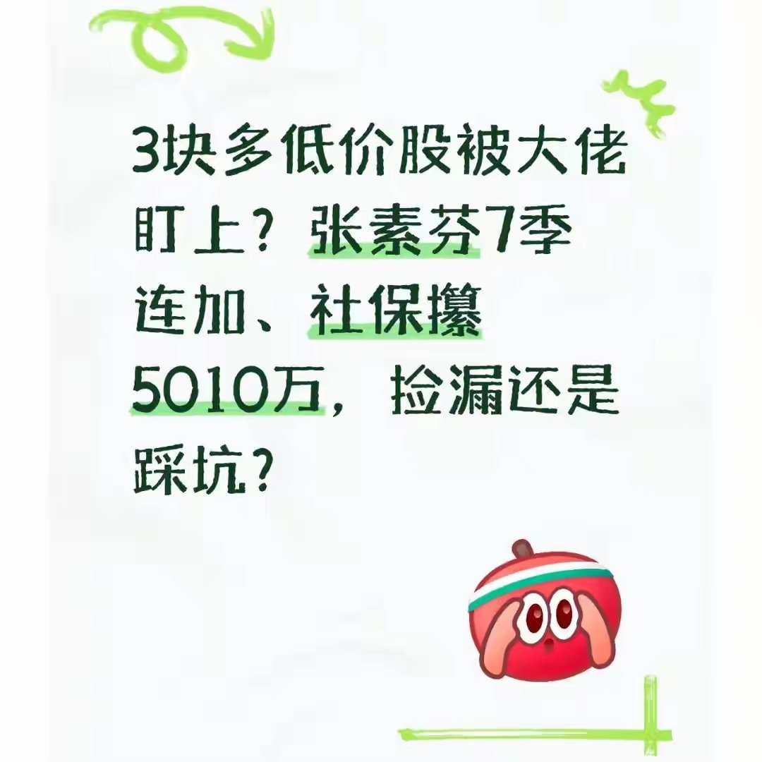 3元低价股炸锅!张素芬7季死磕加仓,社保攥5010万股锁仓,散户能抄作业吗?A