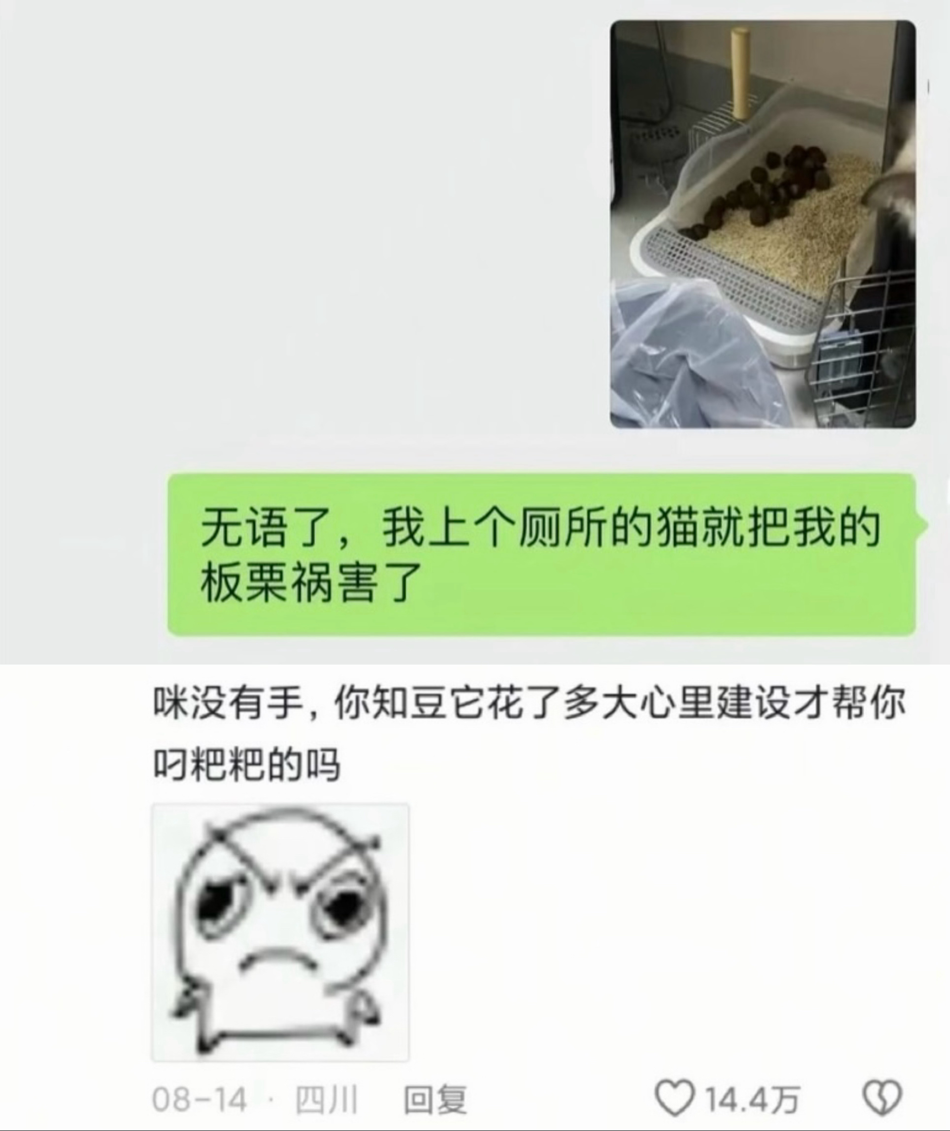 地球没有小猫只能硬撑