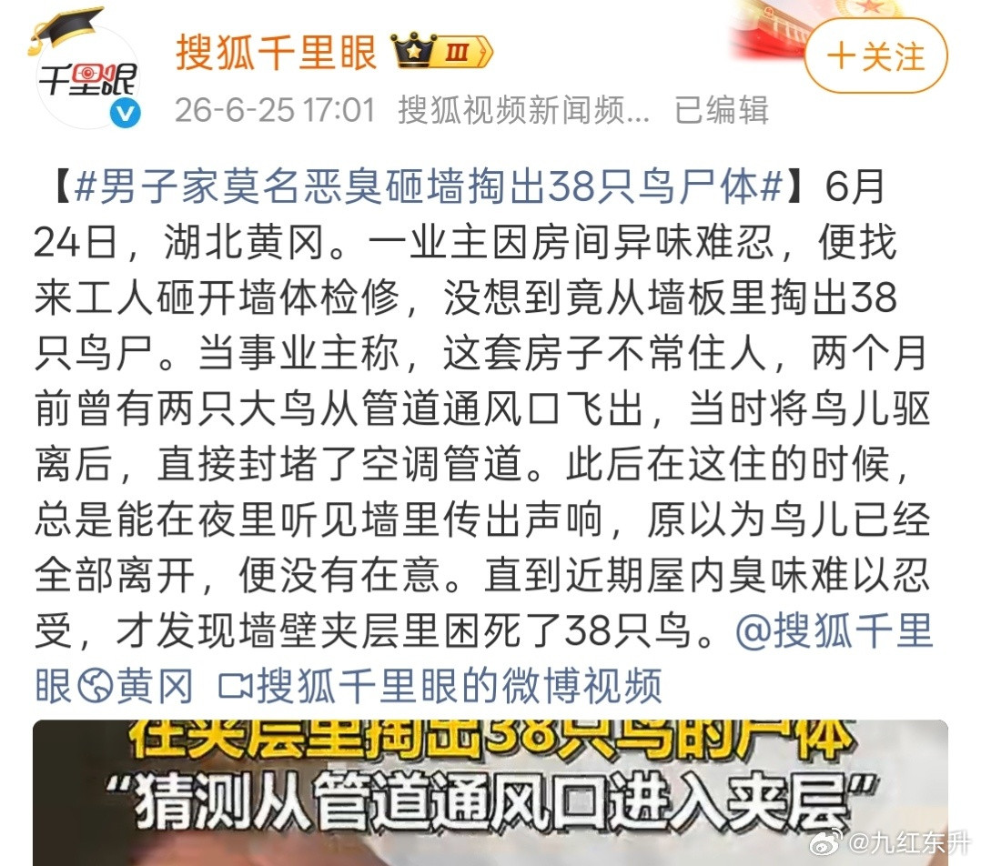 鸟进家本来是好事，结果鸟全部死在家里，容易有先吉后凶的事情