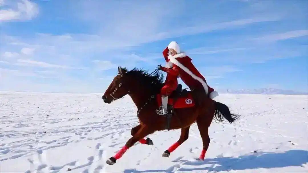 贺娇龙的名字听上去很大气，本人也和名字一样敢作敢为，一马当先。然而客观来说，