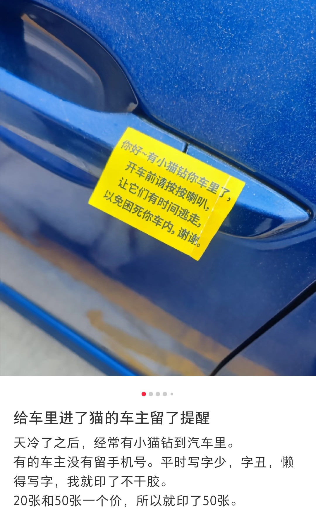 开车之前先敲敲引擎盖会好一点，冬天快要过去了，流浪动物们又熬过了一个冬