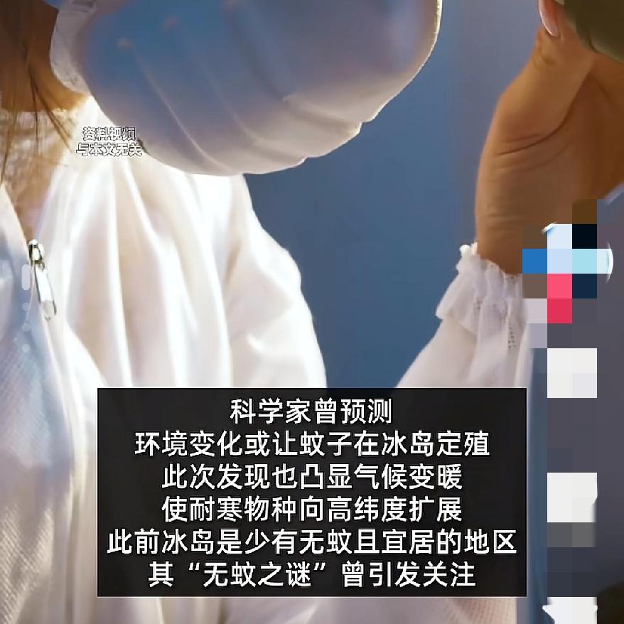 想你的“蚊”终于还是吹到了冰岛全球最后一个“无蚊国”沦陷这可不是小事，是