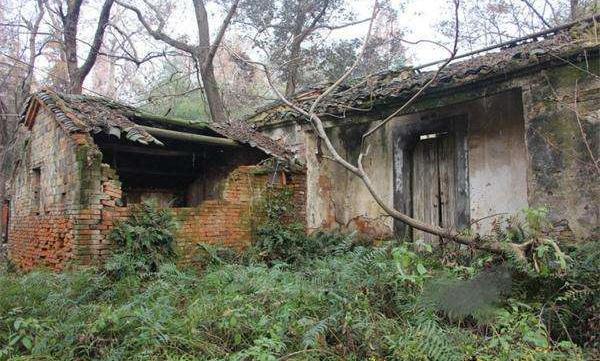 农村宅基地最新政策: “三权分置”, 可买卖! 宅基地终于值钱了!