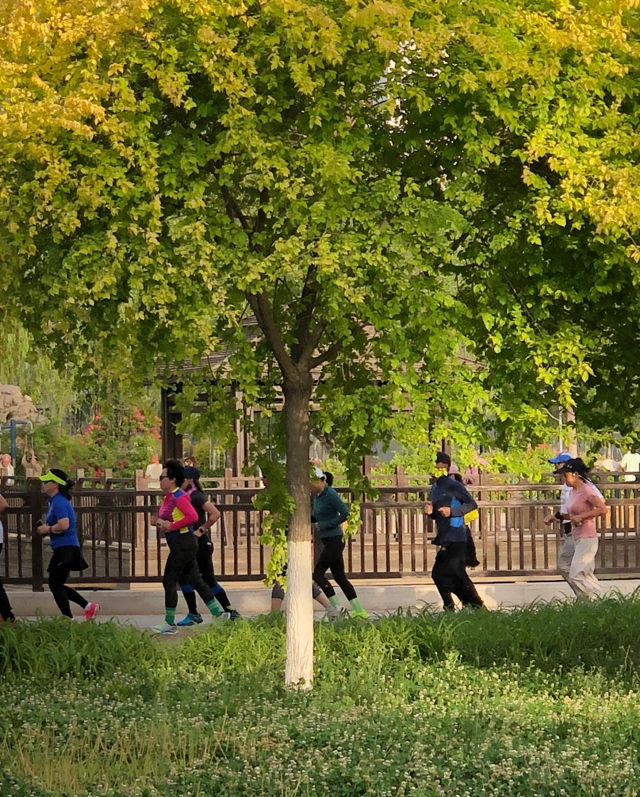 跑步其实是一项最奢侈的运动很多人会认为跑步是最简单，最没有门槛的一