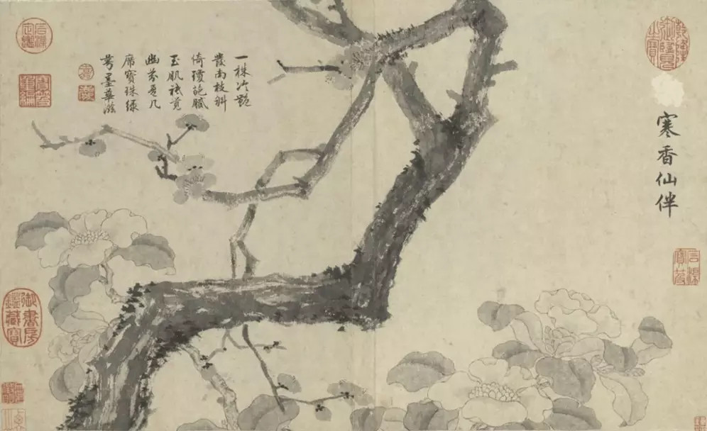 明文徵明花卉册。这就是中国风遇见艺术