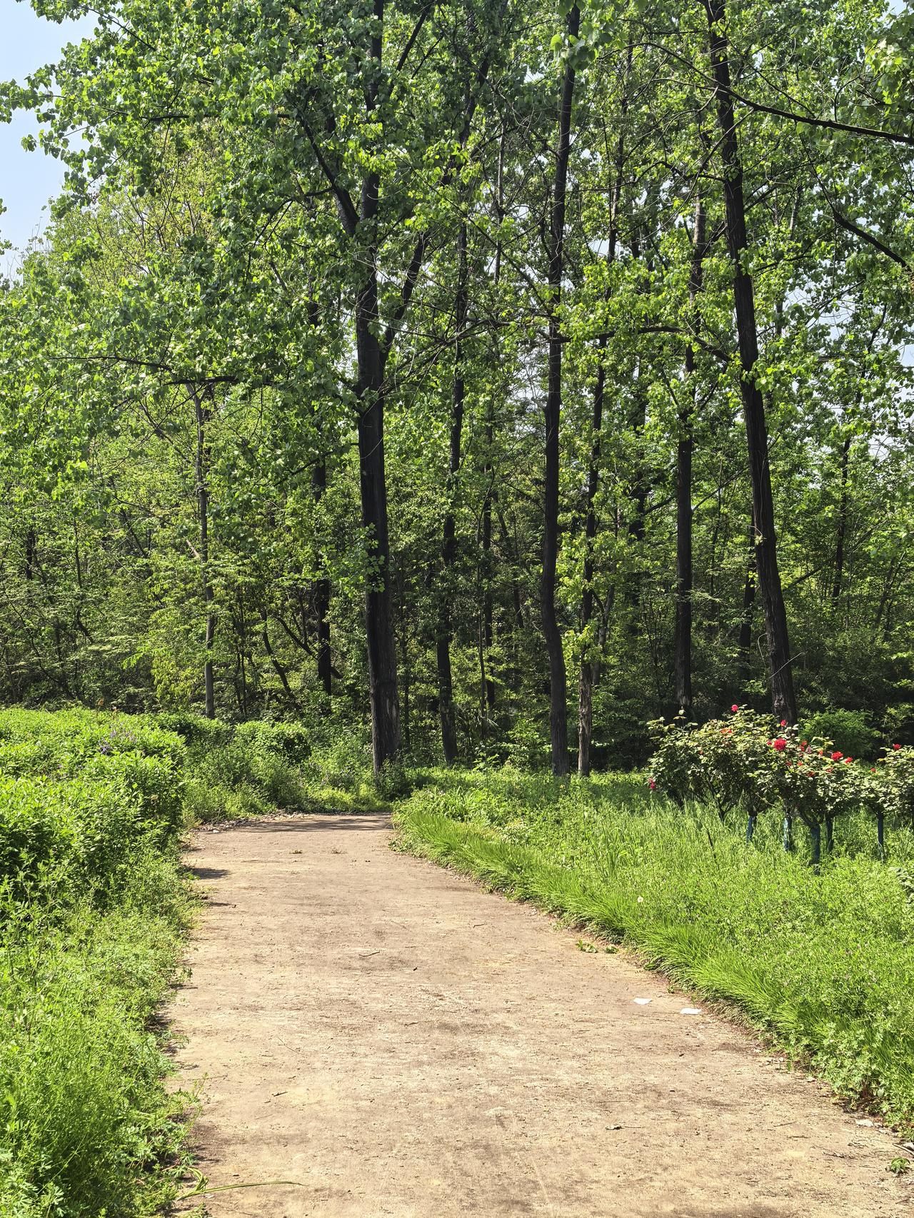 圣人炼丹的过程，虽然各种奇妙景观不断出现，实际上却是一个极其漫长极其艰苦的过程。