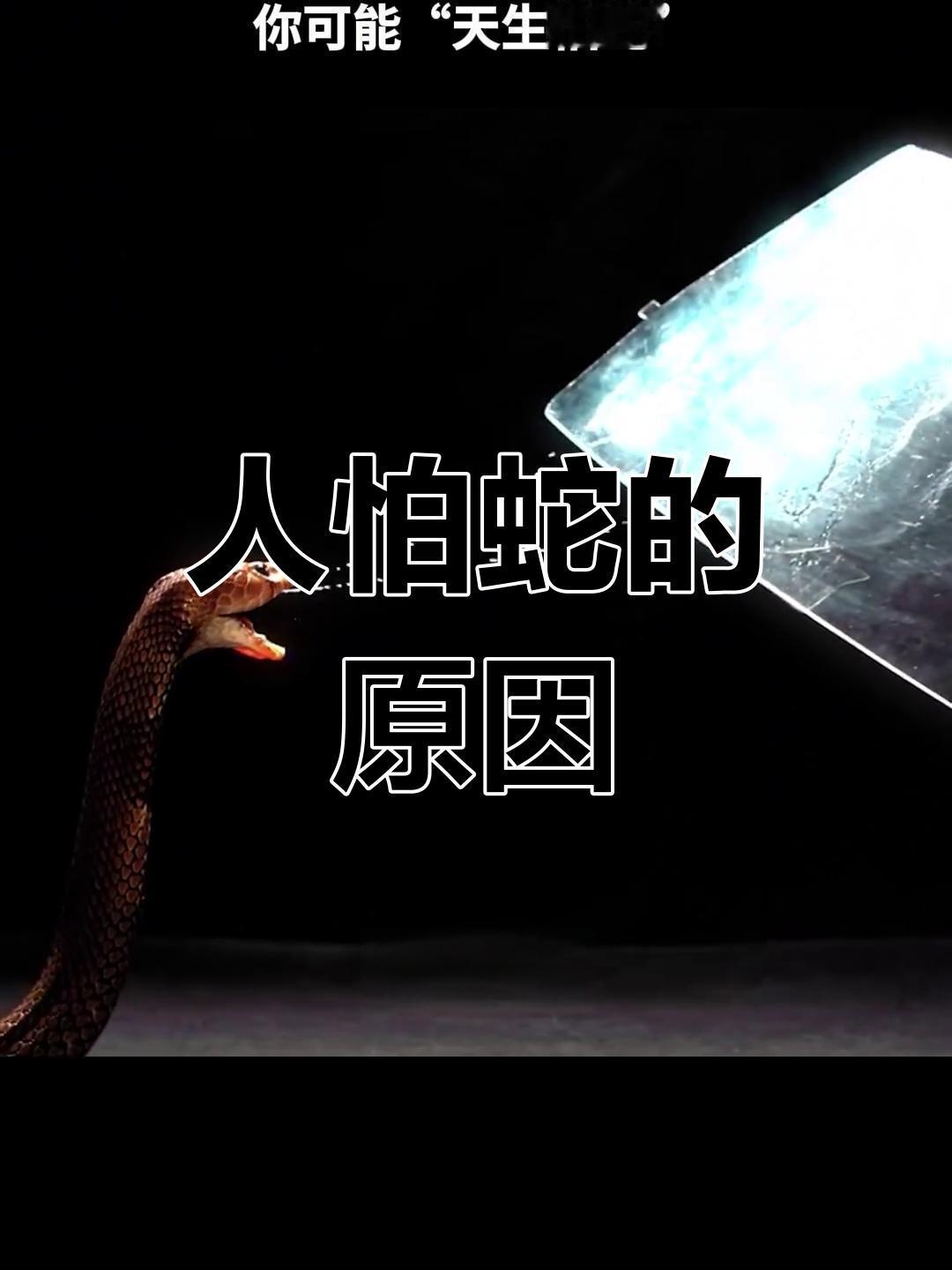 聊聊人怕蛇的原因人怕蛇原因多样。从进化角度，远古时蛇是人类威胁，