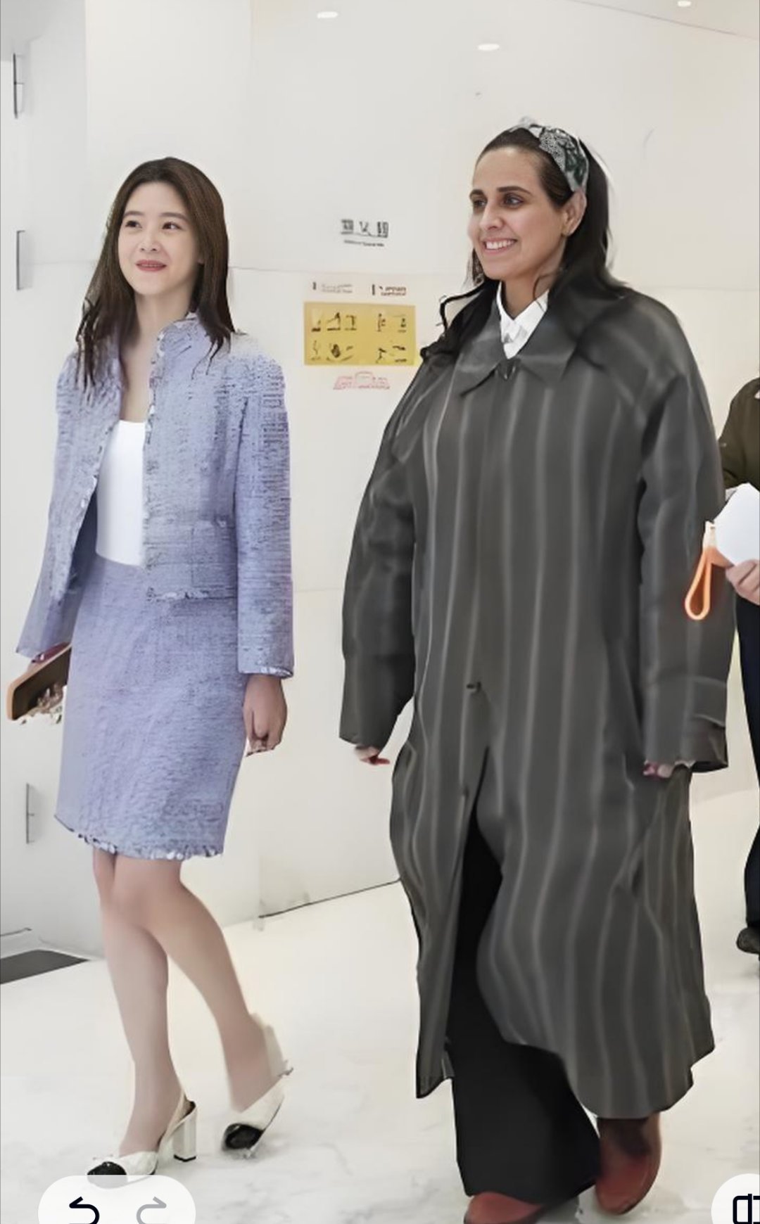 章泽天与卡塔尔公主。话说，老外的黑眼圈都那么重吗还是画的妆？我有点分不清了如