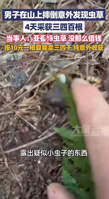 “这就是命啊！”贵州开阳，一男子上山游玩，不慎摔了一跤，结果却意外瞥见土里疑似虫