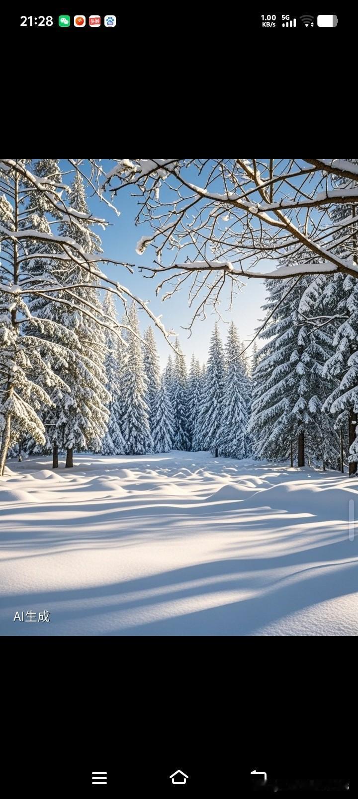 冬日生活打卡季冬日森林的宁静与美丽，白雪覆盖的树木和地面，仿佛置身于童话世界。