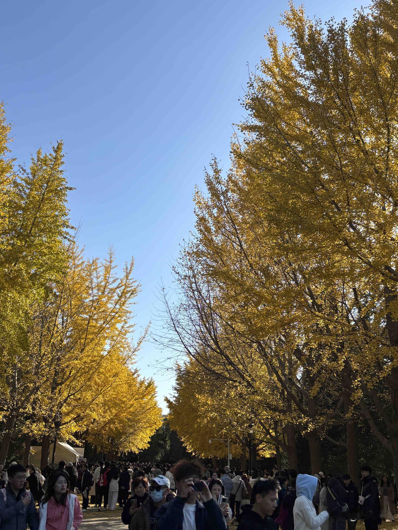 被一条评论共情了：“产房是我去的，手术台是我上的，孩子是我拿命换来的，奶是我喂的