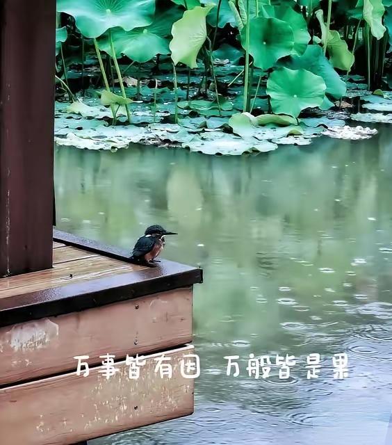 有人总结过20条“母子定律”，1、母亲越漂亮，女儿越平凡。基因这事，有时候就