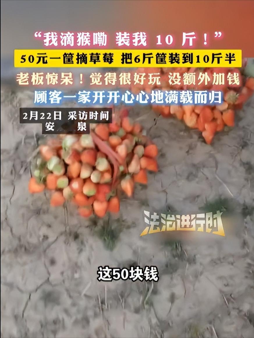 遇到狠人了！安徽临泉，女子带着孩子去草莓园采摘，按照老板规定，50元一筐，装多少