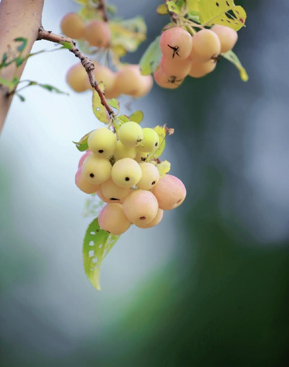 一位老中医说:“你跑再多步，吃再贵的补品，只要你心情不好，天天拧巴，全是白费。