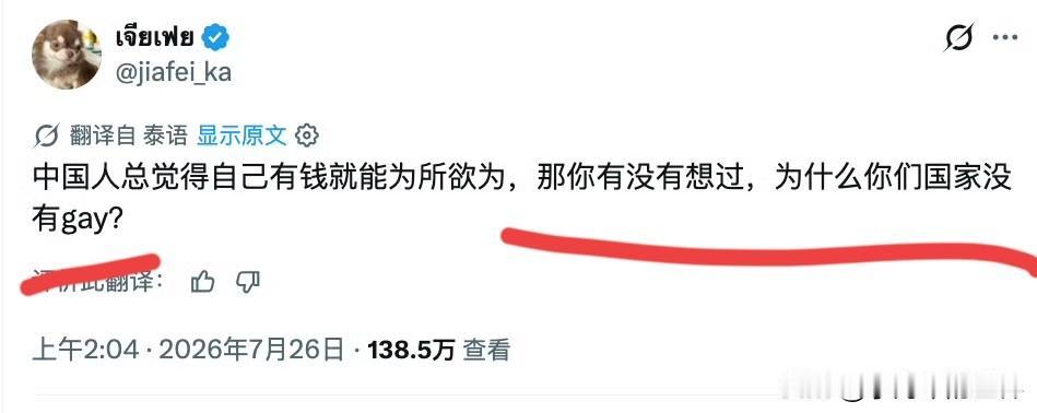 这个泰国人：别看你中有钱，可以为所欲为，但你没有gay（男男）。这个泰国人的