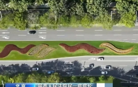 安徽，地铁站惊现暖心又心寒一幕！柴先生上班途中，在扶梯上见古老太即将摔倒，他毫不