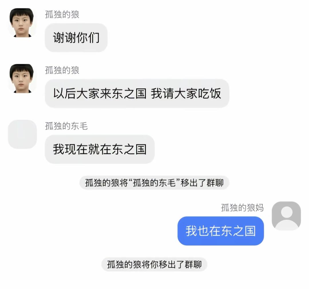 群聊里有人被移出了群聊。