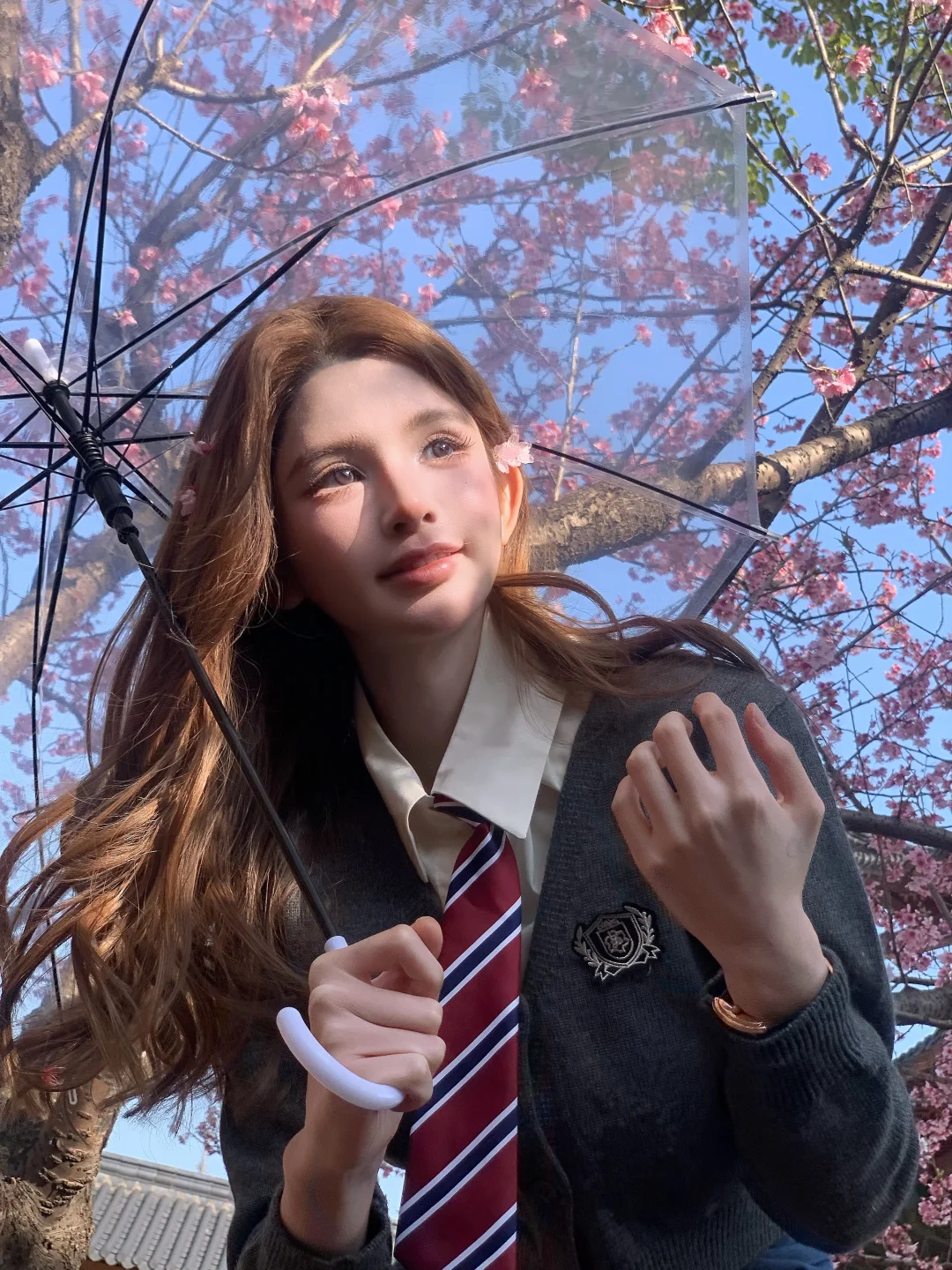 在杭州拍到了大理的樱花