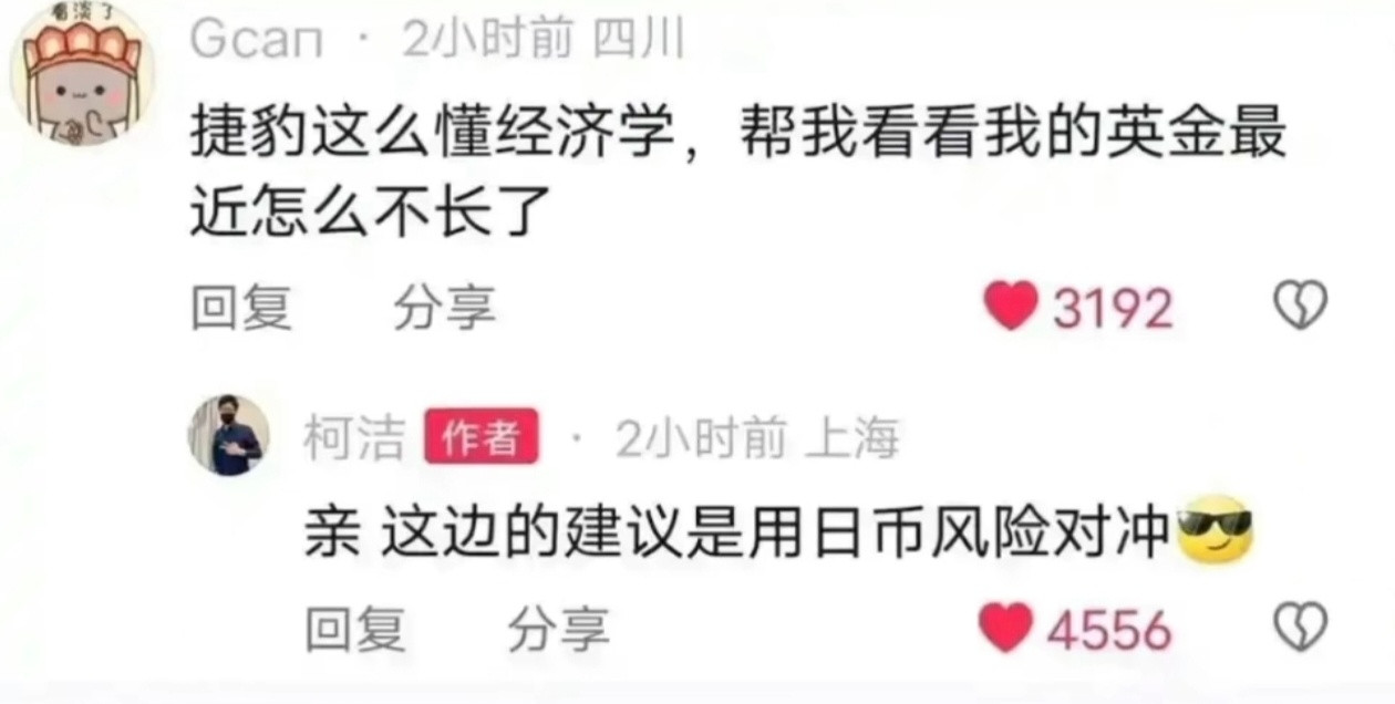 经济学家柯洁