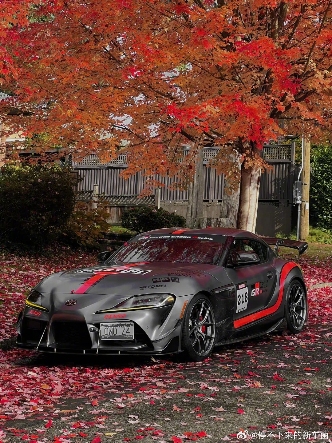 漂亮的枫叶配顶帅的Supra，秋天就要这么过！（图源网络，侵删）​​​
