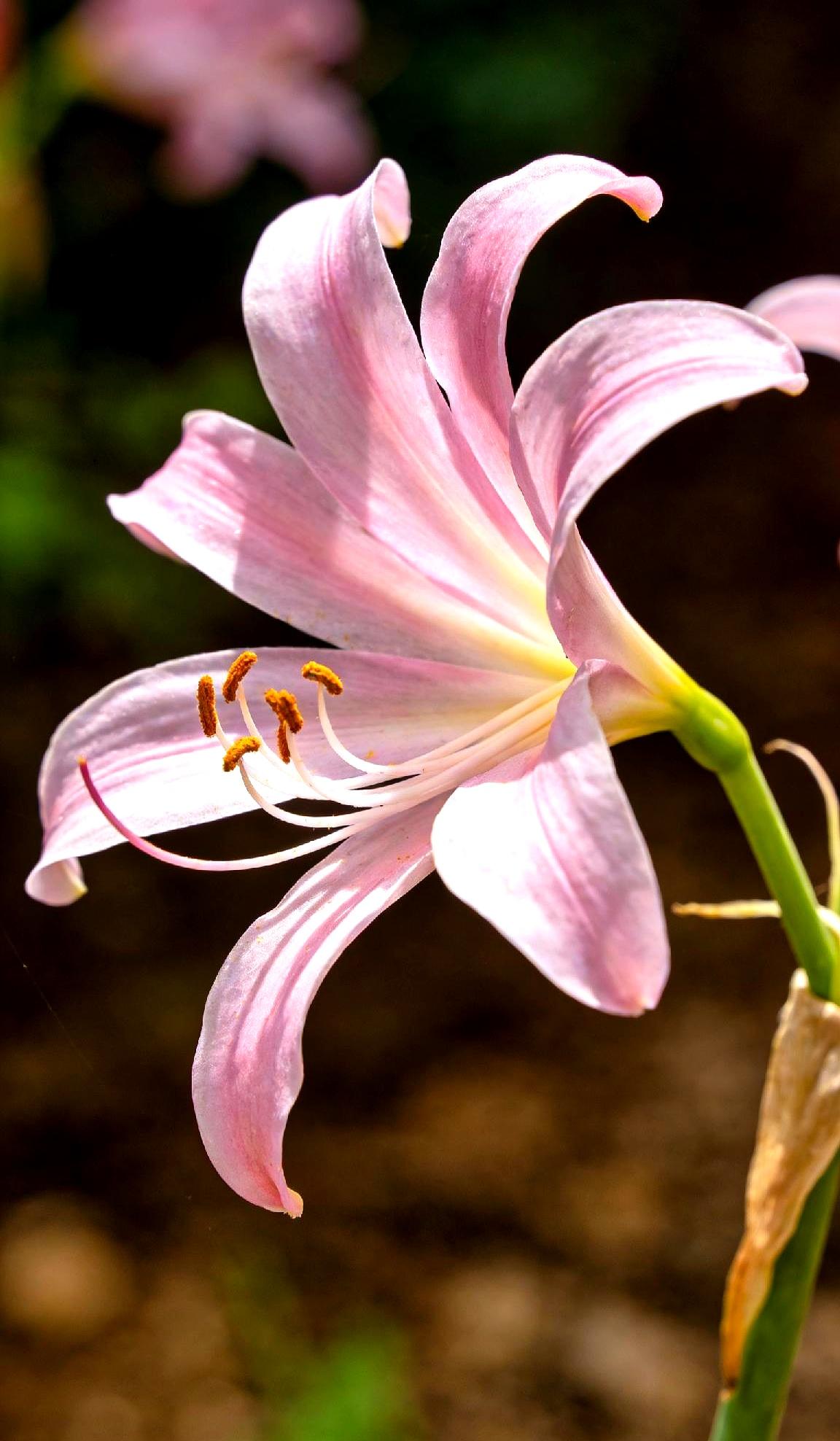 为啥有些人活得特别轻松通透？说白了就是内心强大。真正的心理强大可不是硬撑，而