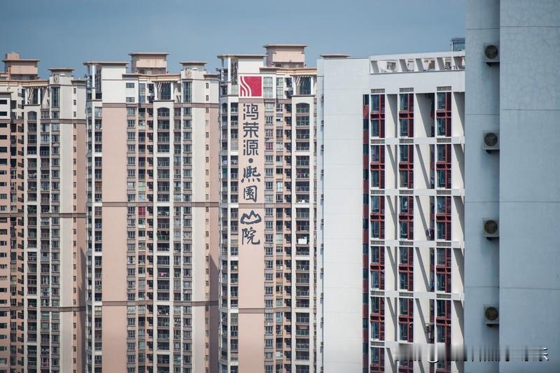 据深圳中原统计，今年全市预计有156个住宅项目入市，其中龙华区37个，成为年度供