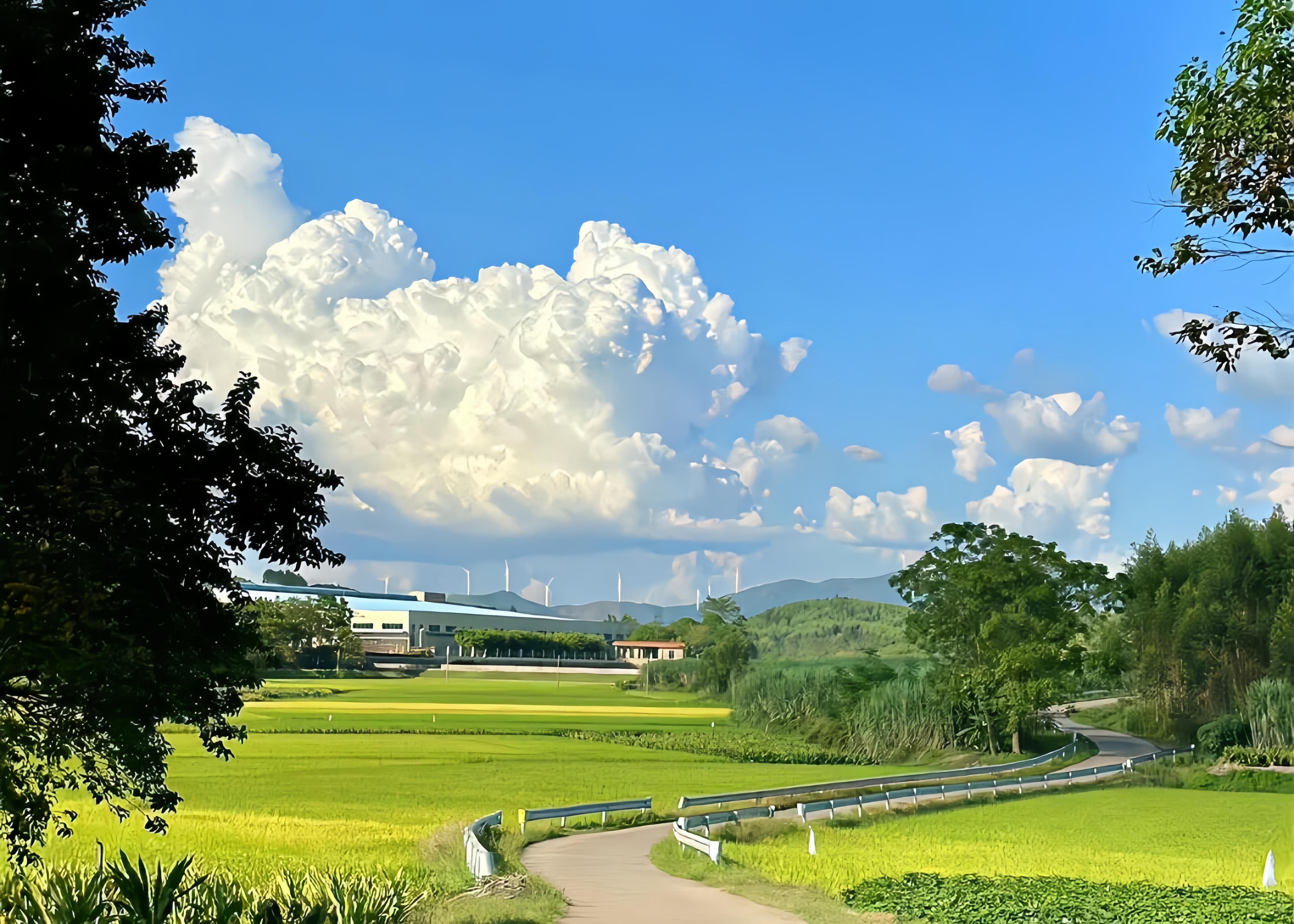 风景iPad平板壁纸｜世界与我共享这一刻即为永恒♡