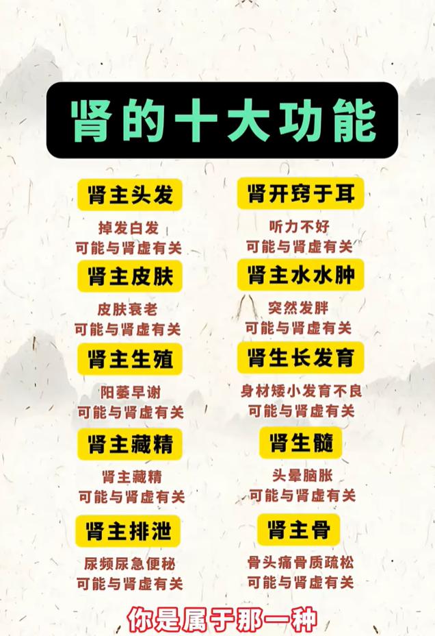 肾脏的十大功能，身上不适根源大多在肾