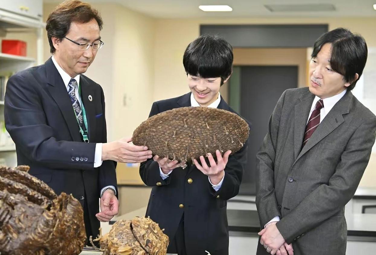 千倾地一颗苗，不管是倭瓜还是西瓜，戴上王冠的人只能是他。悠仁亲王多次被质疑智力