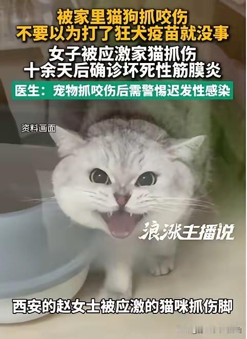 8月7日报道陕西西安，一女子被家猫抓出血，全程规范打完疫苗、伤口快速结痂后本以为